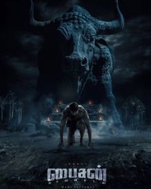 bison-20240506101628-22897